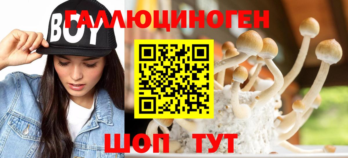Галлюциногенные грибы Magic Shrooms  Галлюциногенные грибы мицелий  Джанкой  Вход с VPN 